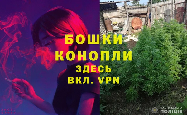 мяу мяу мука Медвежьегорск