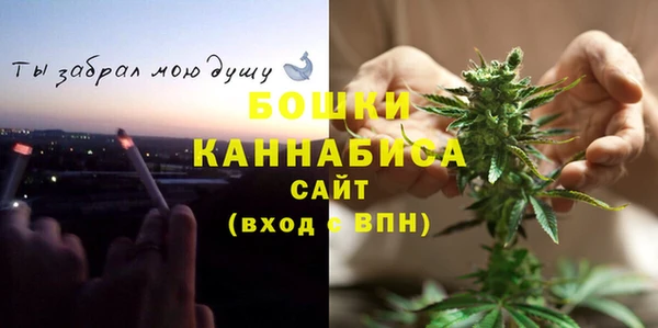 ГАЛЛЮЦИНОГЕННЫЕ ГРИБЫ Магадан